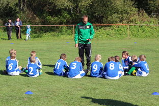 九游娱乐app下载-乌鸦防线表现完美，对手几乎无解，乌鸦攻击什么